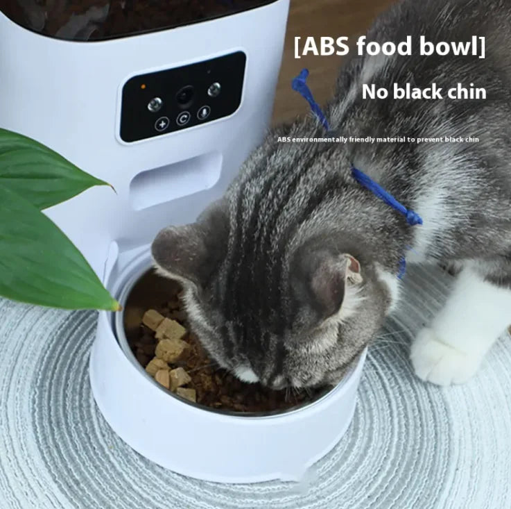 Auto Meal Pet Feeder (169 oz)