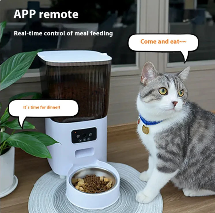 Auto Meal Pet Feeder (169 oz)