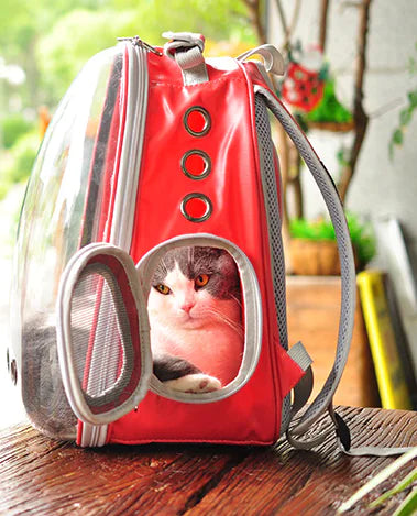 Outdoor Space Capsule Bag
