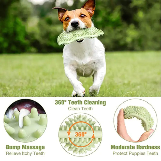 Bite-Resistant Toy