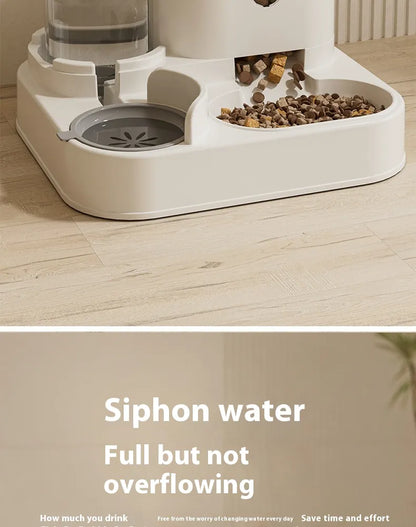 Auto Pet Feeder